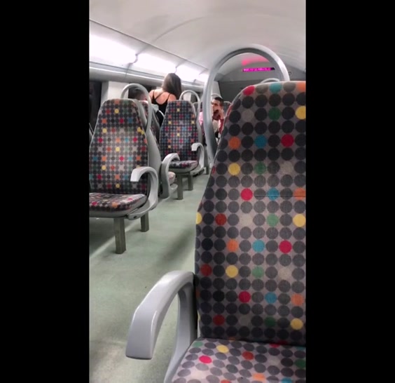 Реальный секс парочки в поезде