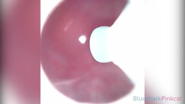 Screenshot CAMERA INSIDE VAGINA AFTER INTERNAL CREAMPIE