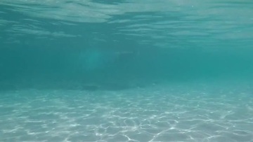 Screenshot Young couple gets caught fucking in the water - Amateur public beach