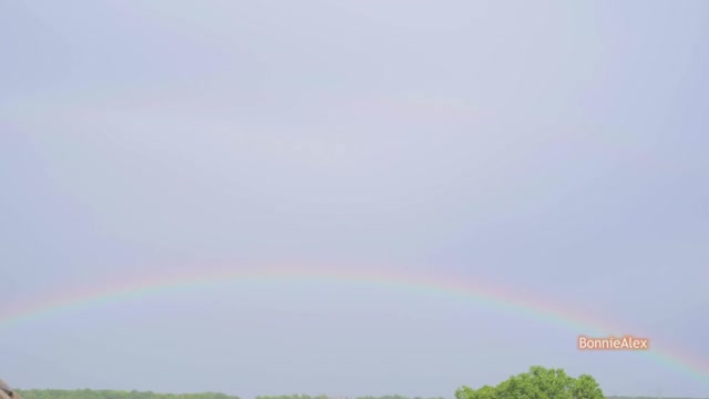 Bildschirmfoto Sex in the pouring rain!