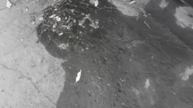 Cкриншот Толстуха с волосатой киской устроила золотой дождь