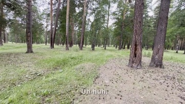 Screenshot Hot Stranger Lost In The Woods, I'm Fucking Her Pussy While She Doesn't Notice, Pretending To Help